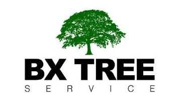 BX Tree Service - Bronx Tree Company, Tree Cutting & Removal